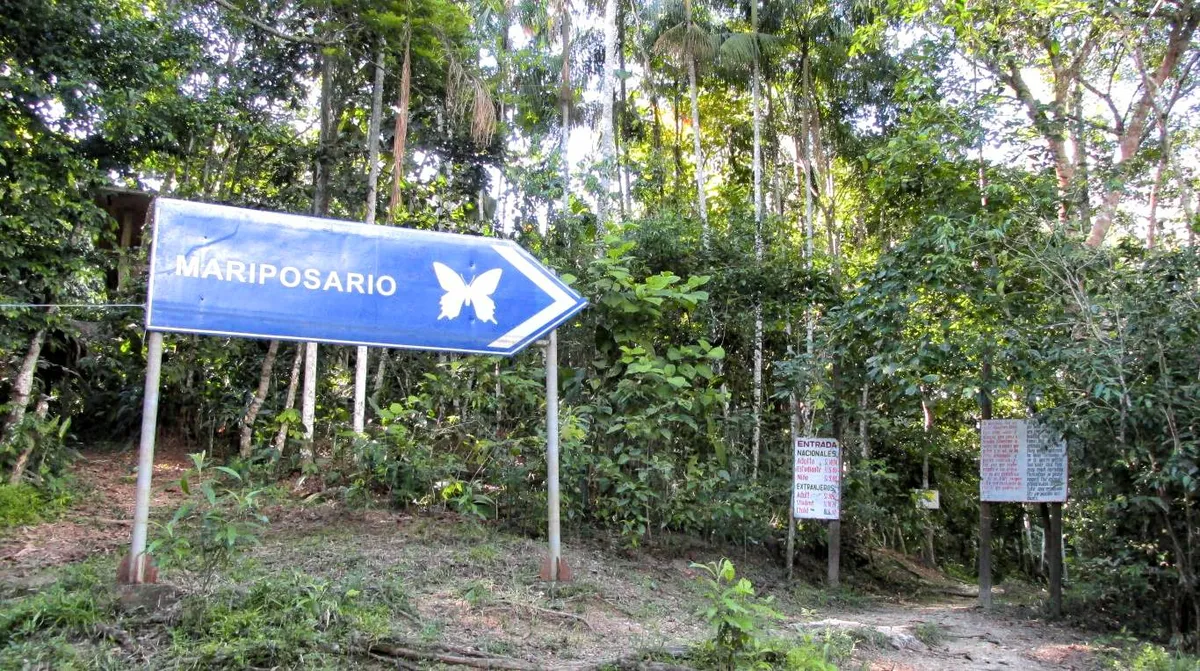 Pilpintuwasi Butterfly Farm and Animal Orphanage in Iquitos