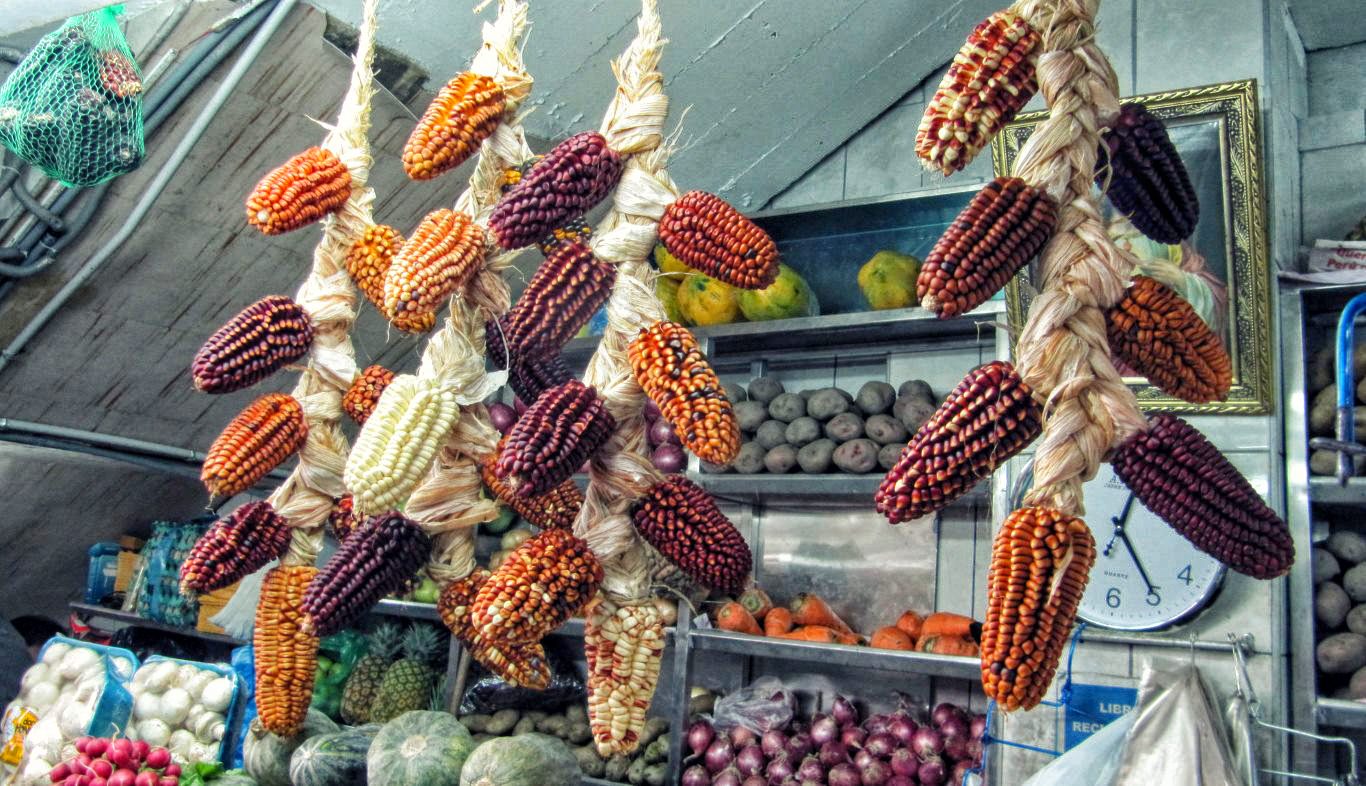 Ingredients in Peruvian food: Corn